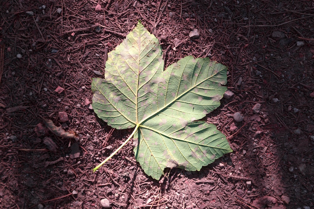 AdobeStock_121195373 crop.jpeg