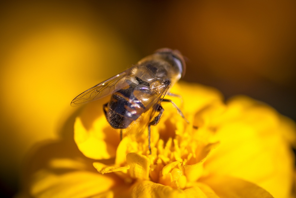 AdobeStock_123010900 crop.jpeg
