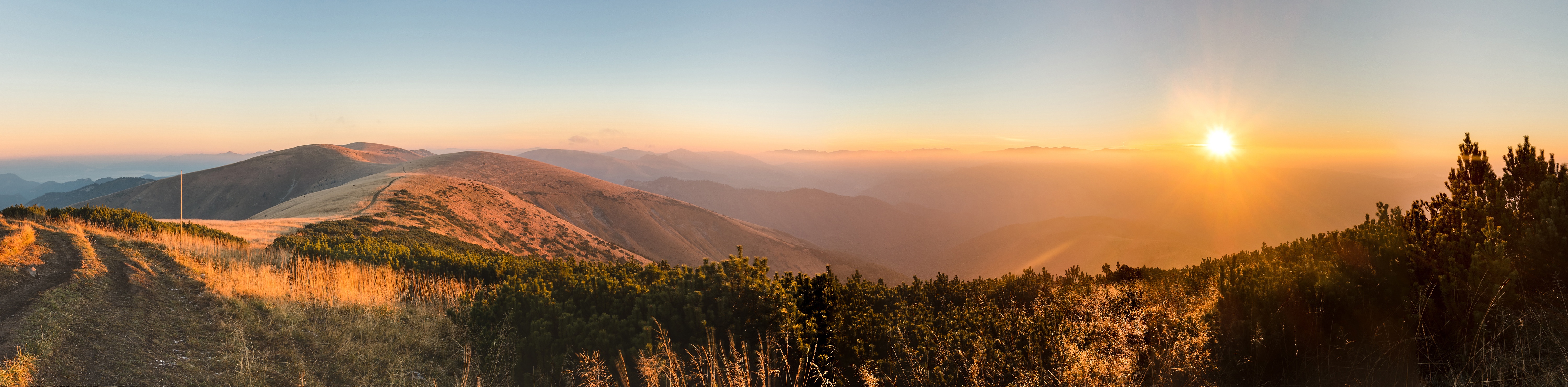 AdobeStock_93480162.jpeg