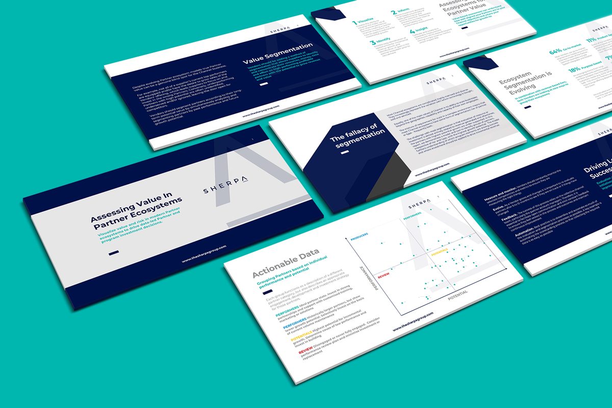 partner-assessment-report