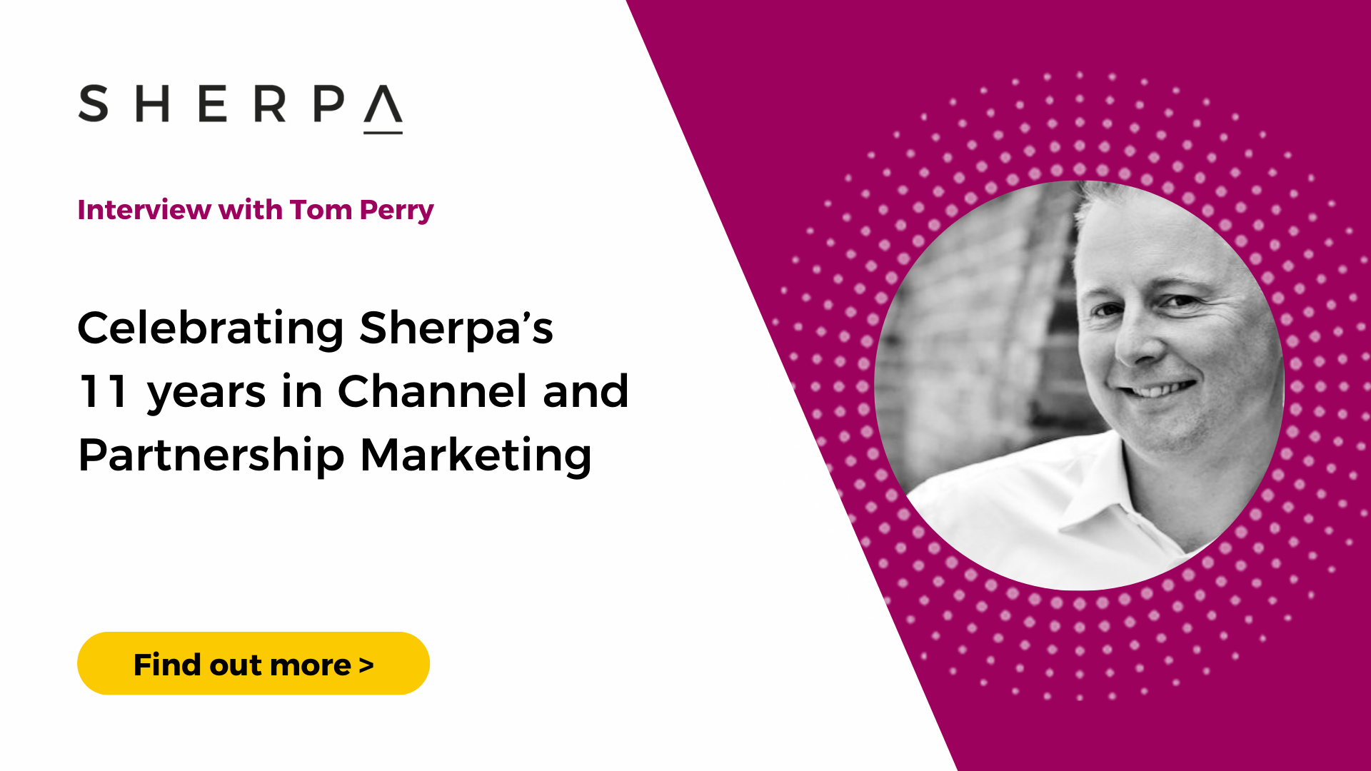 Sherpa's Journey: 11 years in Channel and Partnership Marketing